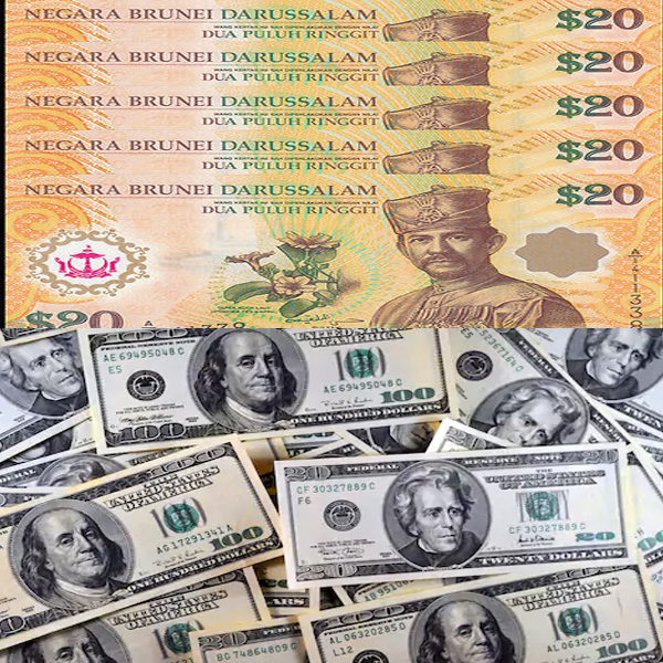 Đổi tiền Brunei